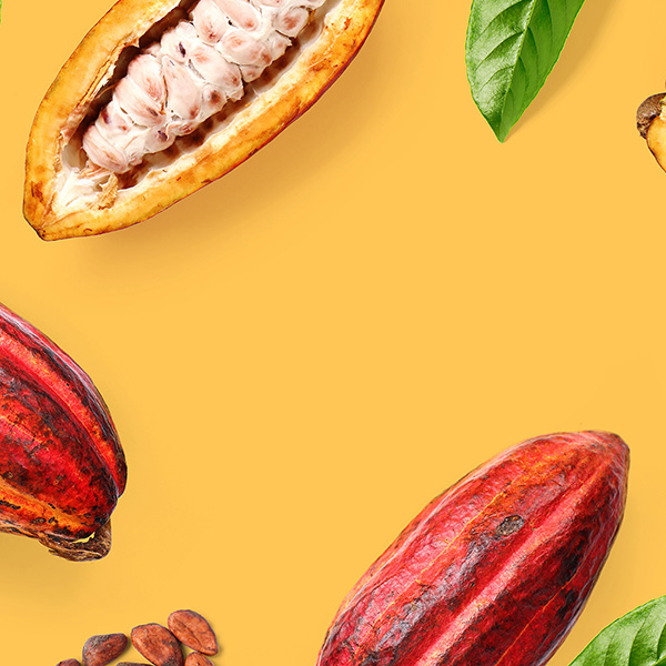 Kick Start Personal Juicer and Blender Cuisinart